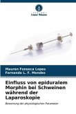 Einfluss von epiduralem Morphin bei Schweinen während der Laparoskopie