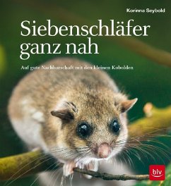 Siebenschläfer ganz nah (Mängelexemplar) - Seybold, Korinna