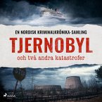 Tjernobyl, och två andra katastrofer (MP3-Download)