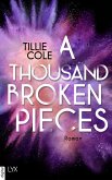 A Thousand Broken Pieces / Blossom Grove Bd.2 (eBook, ePUB)