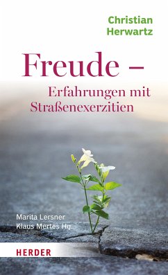 Freude - Erfahrungen mit Straßenexerzitien (eBook, PDF) - Herwartz, Christian