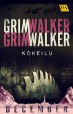 Kokeilu (eBook, ePUB)