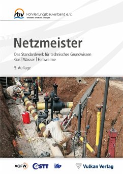 Netzmeister (eBook, PDF)