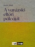 A ​varázsló eltöri pálcáját (eBook, ePUB)