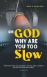 Oh God Why are you too Slow? - Bild 1