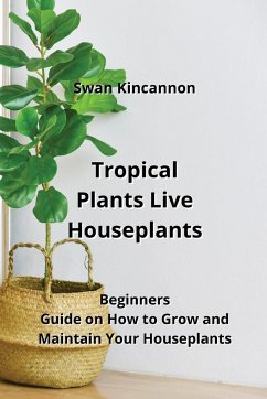 Tropical Plants Live Houseplants - Kincannon, Swan