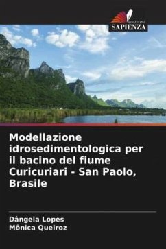 Modellazione idrosedimentologica per il bacino del fiume Curicuriari - San Paolo, Brasile - Lopes, Dângela;Queiroz, Mônica