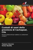 Custodi di semi della provincia di Cachapoal, Cile