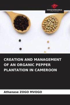 CREATION AND MANAGEMENT OF AN ORGANIC PEPPER PLANTATION IN CAMEROON - Zogo Mvogo, Athanase