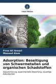 Adsorption: Beseitigung von Schwermetallen und organischen Schadstoffen