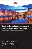 Étude de briques creuses sol-ciment avec des sols