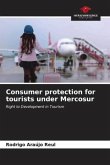 Consumer protection for tourists under Mercosur