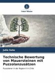 Technische Bewertung von Mauersteinen mit Puzzolanzusätzen