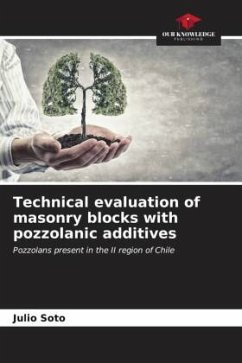 Technical evaluation of masonry blocks with pozzolanic additives - Soto, Julio