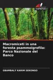 Macromiceti in una foresta psammoigrofila: Parco Nazionale del Banco