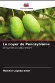 Le noyer de Pennsylvanie