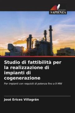 Studio di fattibilità per la realizzazione di impianti di cogenerazione - Erices Villagrán, José