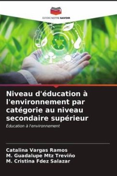 Niveau d'éducation à l'environnement par catégorie au niveau secondaire supérieur - Vargas Ramos, Catalina;Mtz Treviño, M. Guadalupe;Fdez Salazar, M. Cristina