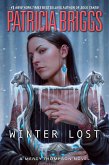 Winter Lost (eBook, ePUB)