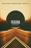 Patagonia Route 203 (eBook, ePUB)