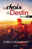 Le Choix du Destin (eBook, ePUB)