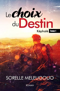 Le Choix du Destin (eBook, ePUB) - Meleugouo, Sorelle