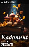 Kadonnut mies (eBook, ePUB)