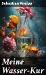 Meine Wasser-Kur (eBook, ePUB) - Bild 1