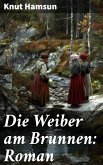 Die Weiber am Brunnen: Roman (eBook, ePUB)