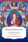 Perseverance (eBook, ePUB) Perseverance (eBook, ePUB)