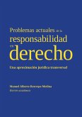 Problemas actuales de la responsabilidad en derecho (eBook, ePUB)