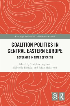 Cover Coalition Politics in Central Eastern Europe (eBook, PDF)