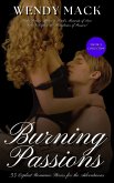 Burning Passions (eBook, ePUB)