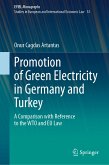 Promotion of Green Electricity in Germany and Turkey (eBook, PDF)