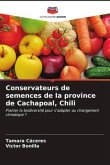 Conservateurs de semences de la province de Cachapoal, Chili