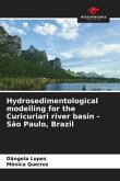 Hydrosedimentological modelling for the Curicuriari river basin - São Paulo, Brazil