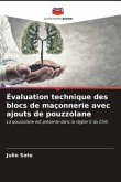 Évaluation technique des blocs de maçonnerie avec ajouts de pouzzolane