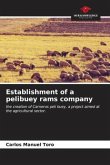 Establishment of a pelibuey rams company