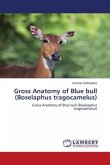 Gross Anatomy of Blue bull (Boselaphus tragocamelus)