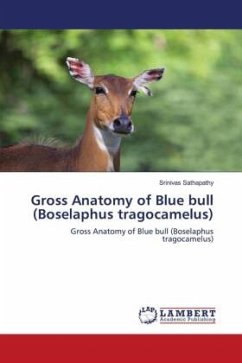 Gross Anatomy of Blue bull (Boselaphus tragocamelus) - Sathapathy, Srinivas