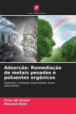 Adsorção: Remediação de metais pesados e poluentes orgânicos