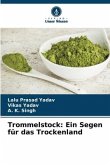 Trommelstock: Ein Segen für das Trockenland