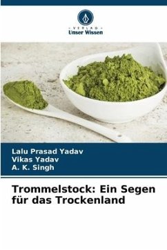 Trommelstock: Ein Segen für das Trockenland - Yadav, Lalu Prasad;Yadav, Vikas;Singh, A. K.