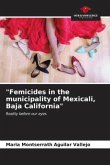 "Femicides in the municipality of Mexicali, Baja California"