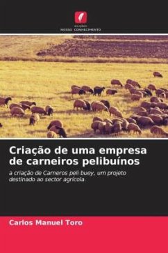 Criação de uma empresa de carneiros pelibuínos - Toro, Carlos Manuel