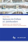 Spinoza im frühen 20. Jahrhundert (eBook, PDF)