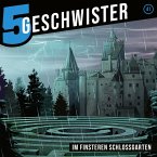 41: Im finsteren Schlossgarten (MP3-Download)