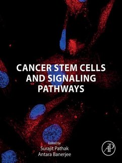Cover Cancer Stem Cells and Signaling Pathways (eBook, ePUB)