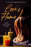 Love's Flame (Tales From the Toy Box) (eBook, ePUB)