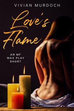 Cover Love's Flame (Tales From the Toy Box) (eBook, ePUB)